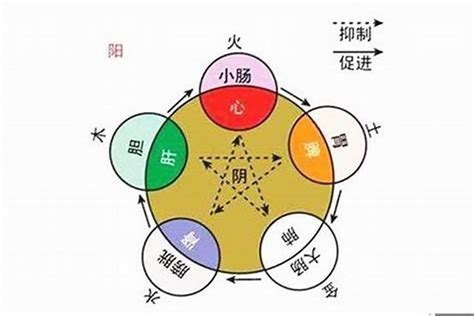 海字五行|海字五行属什么